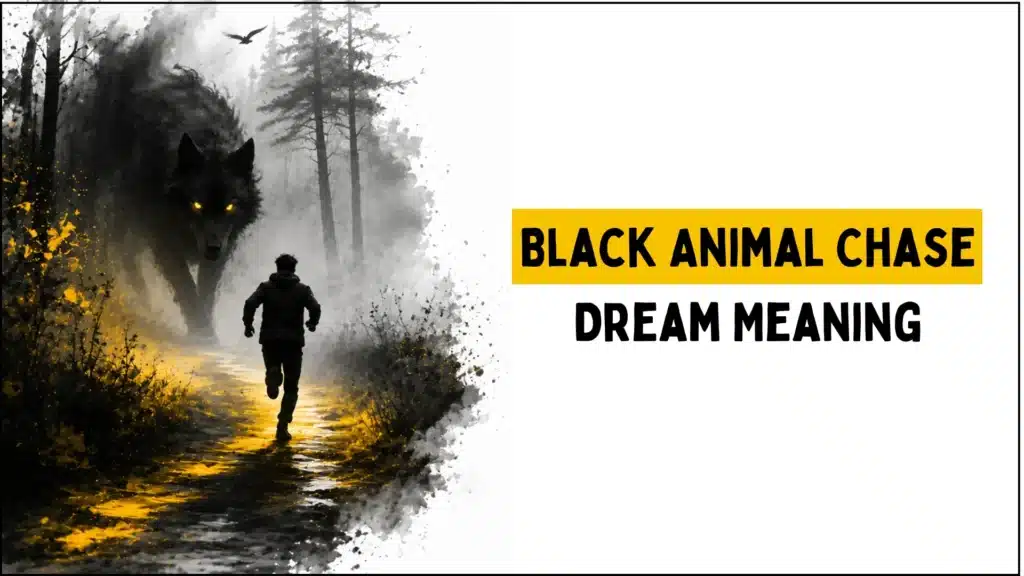 Animal Chase Dream Meaning: Why You’re Being Chased (Shocking Truth) 5 Black Animal Chase Dream Meaning