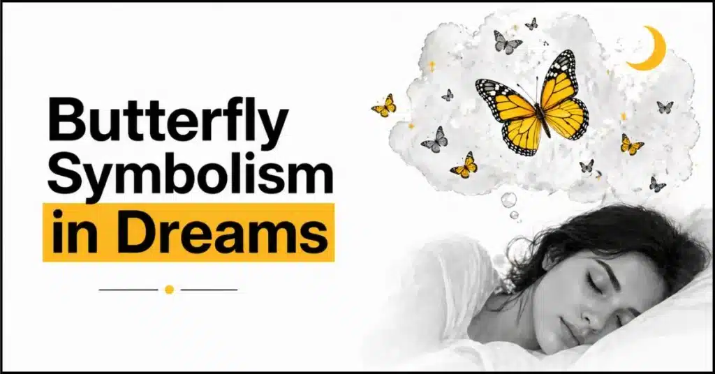 Butterfly Symbolism in Dreams What Does It Mean
