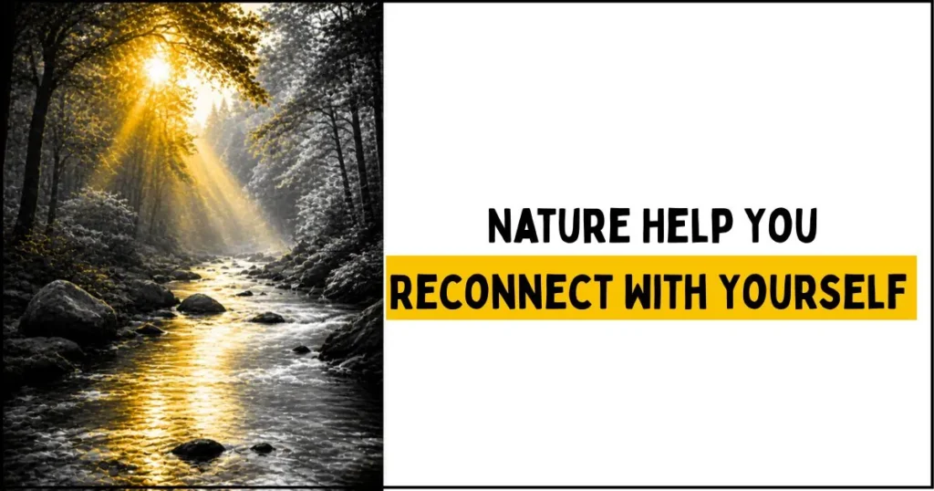 Nature Help You Reconnect With Yourself