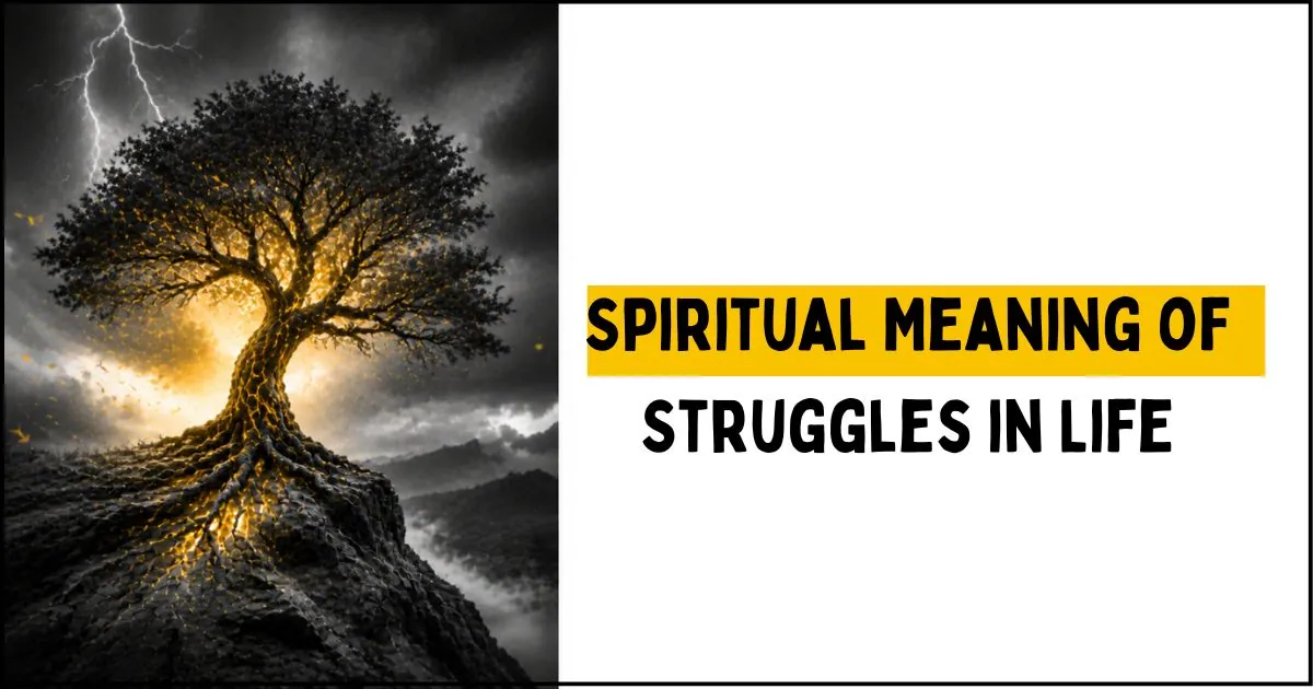 Spiritual Meaning of Struggles in Life (1)