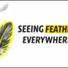 Seeing Feathers Everywhere The Universe Is Trying to Reach You