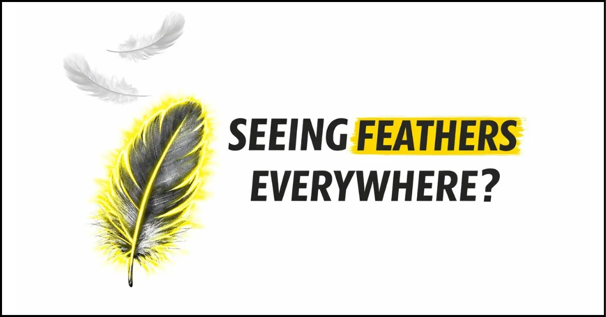 Seeing Feathers Everywhere The Universe Is Trying to Reach You
