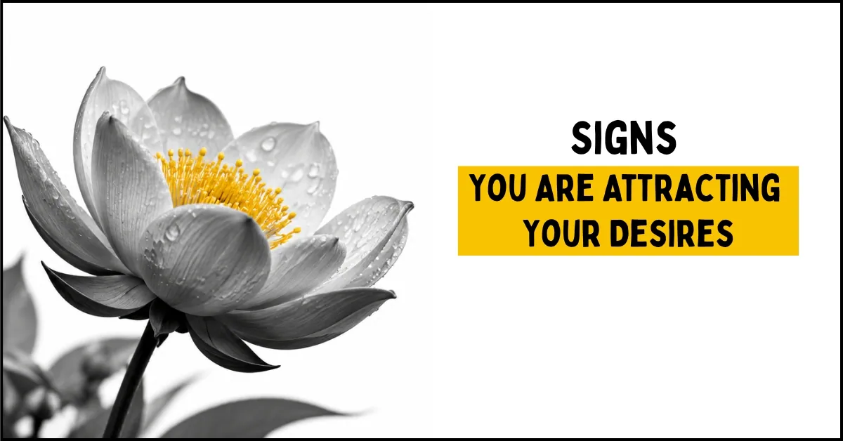 Signs You Are Attracting Your Desires