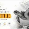 spiritual meaning of turtle: sea turtle swimming ocean"