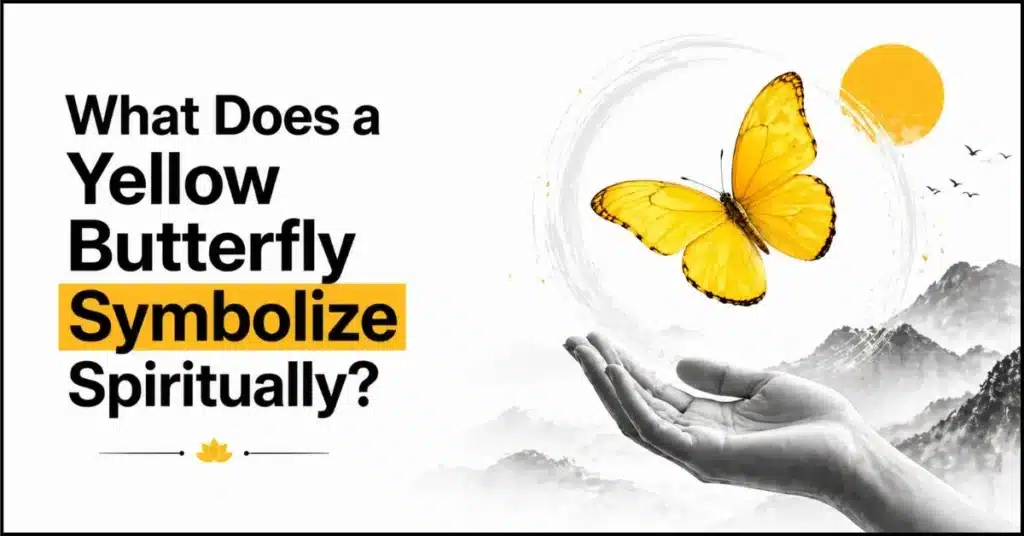 Spiritual Meaning of Yellow Butterfly A Very Specific Sign