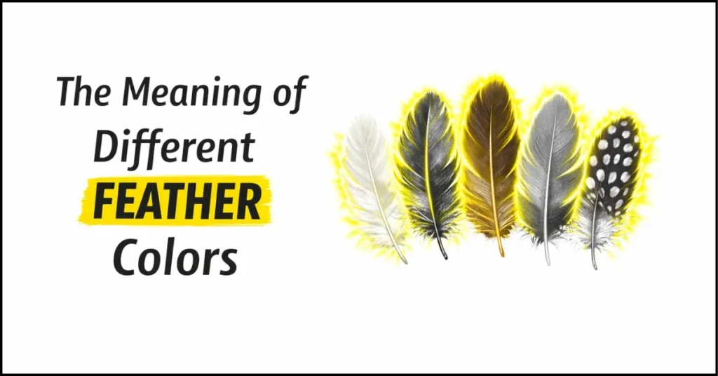 The Meaning of Different Feather Colors