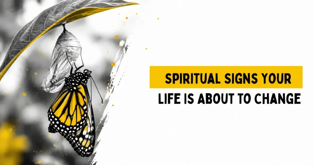 signs of transformation — butterfly emerging from chrysalis symbolizing personal change"