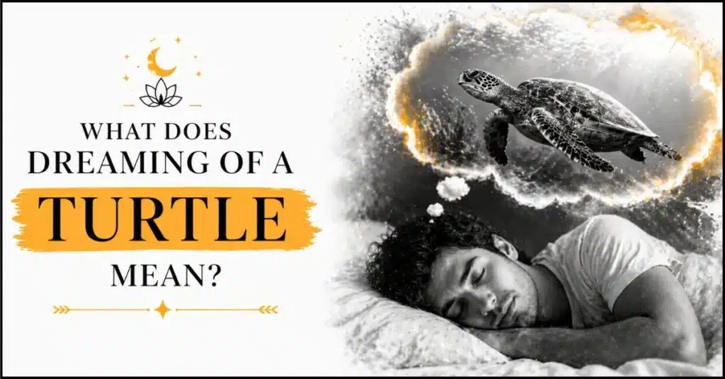 What Does Dreaming of a Turtle Mean
