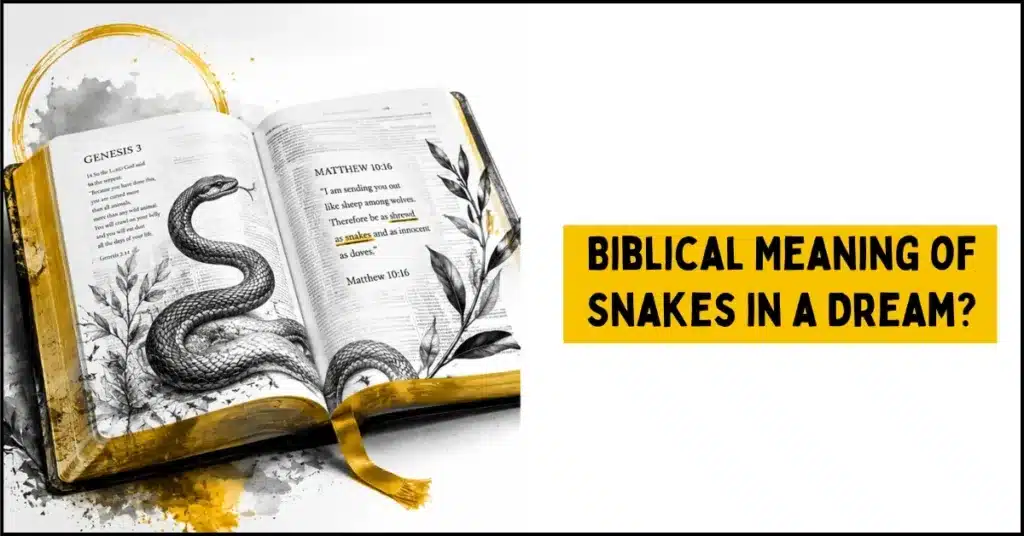 Spiritual Meaning of Snakes in Dreams - This Is Not Random 3 What Is the Biblical Meaning of Snakes in a Dream