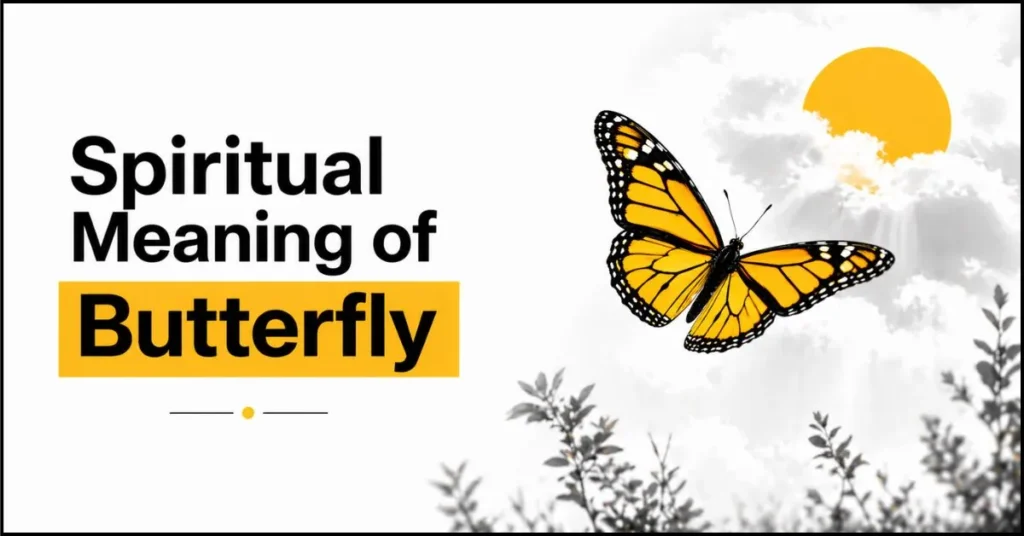 What is the Spiritual Meaning of Butterfly