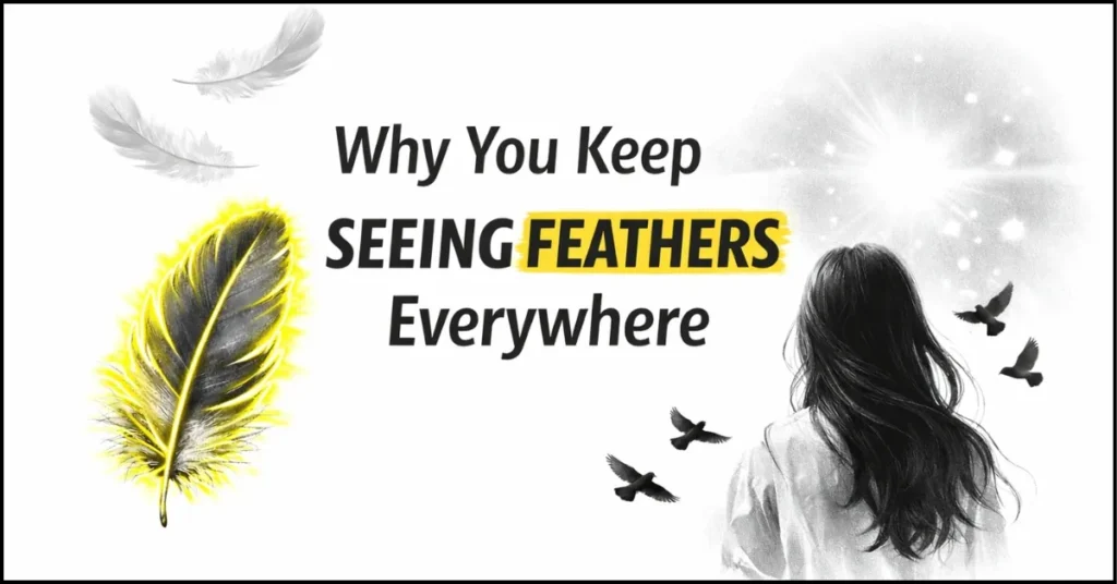 Why You Keep Seeing Feathers Everywhere