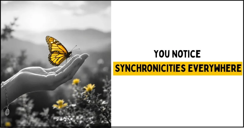 You Notice Synchronicities Everywhere