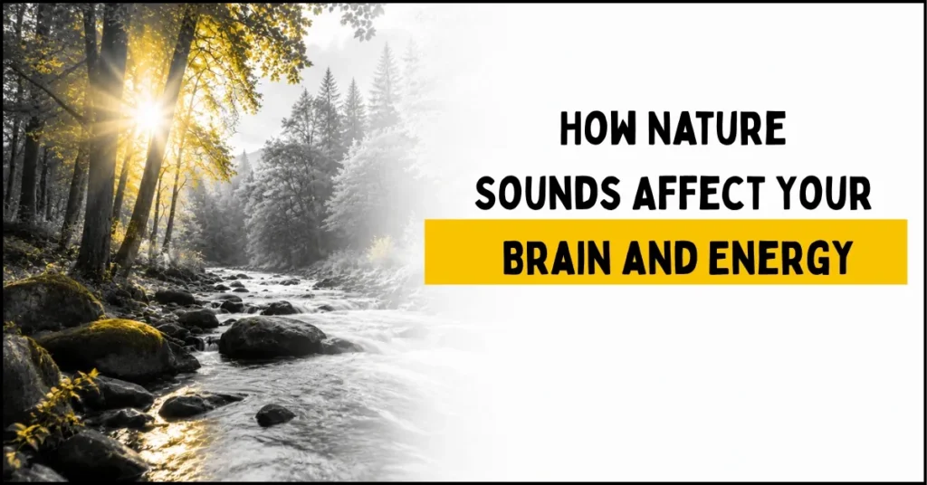 How Nature Sounds Affect Your Brain and Energy