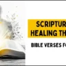 Scriptures on Healing the Body Bible Verses for Healing