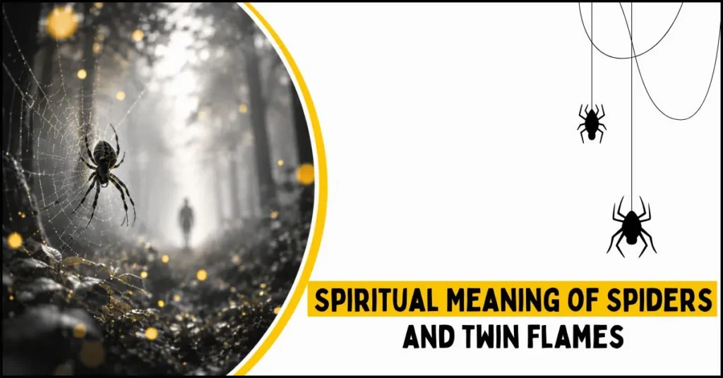 Spiritual Meaning of Spiders and Twin Flames