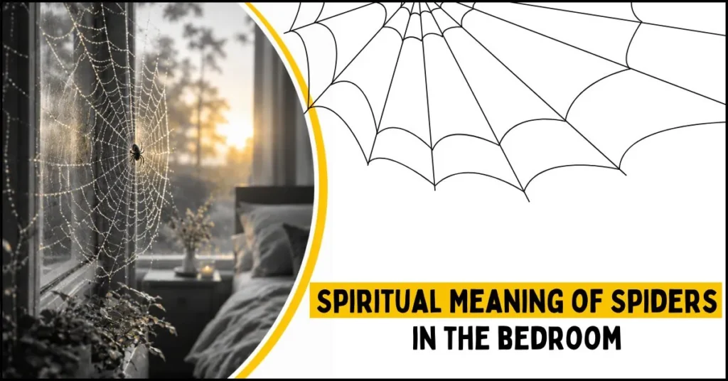 Spiritual Meaning of Spiders in the Bedroom