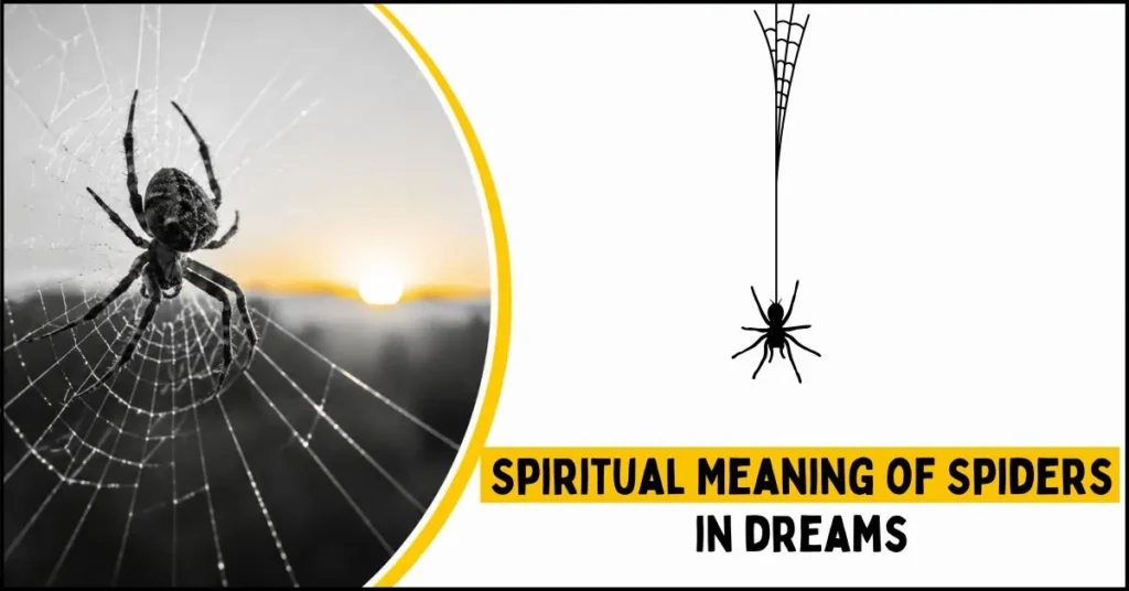What Is the Spiritual Meaning of Spiders in Dreams