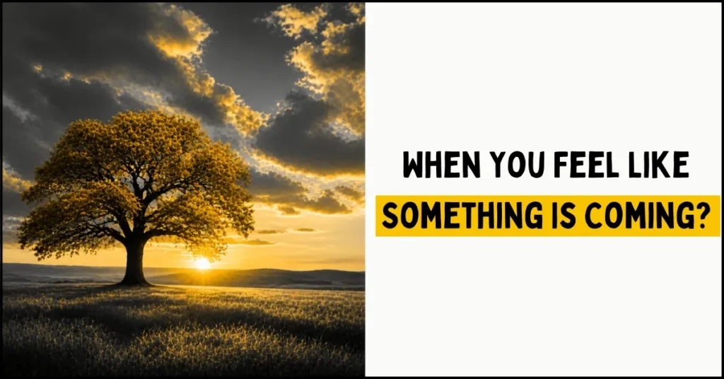 When You Feel Like Something Is Coming