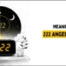 Meaning of 222 Angel Number