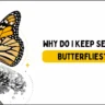 Why Do I Keep Seeing Butterflies